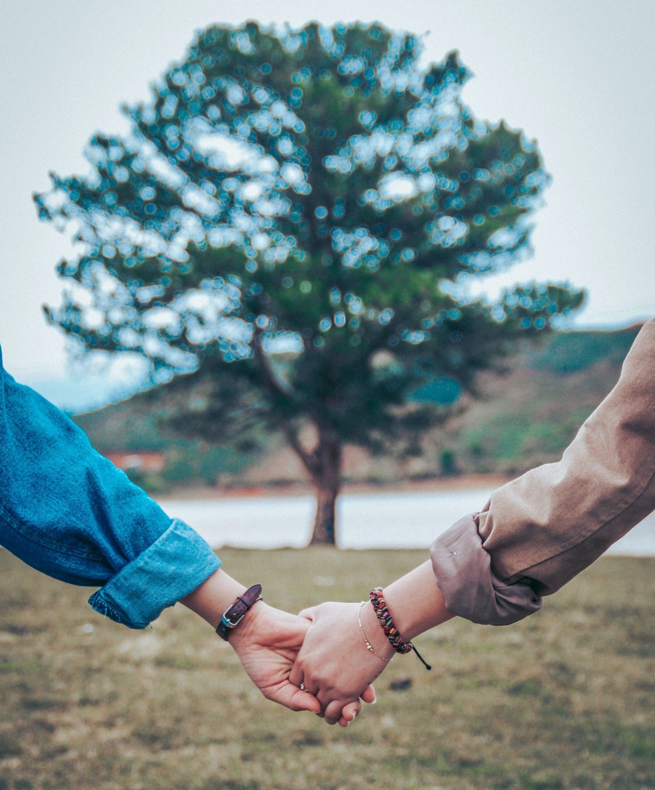 Holding hands by tree