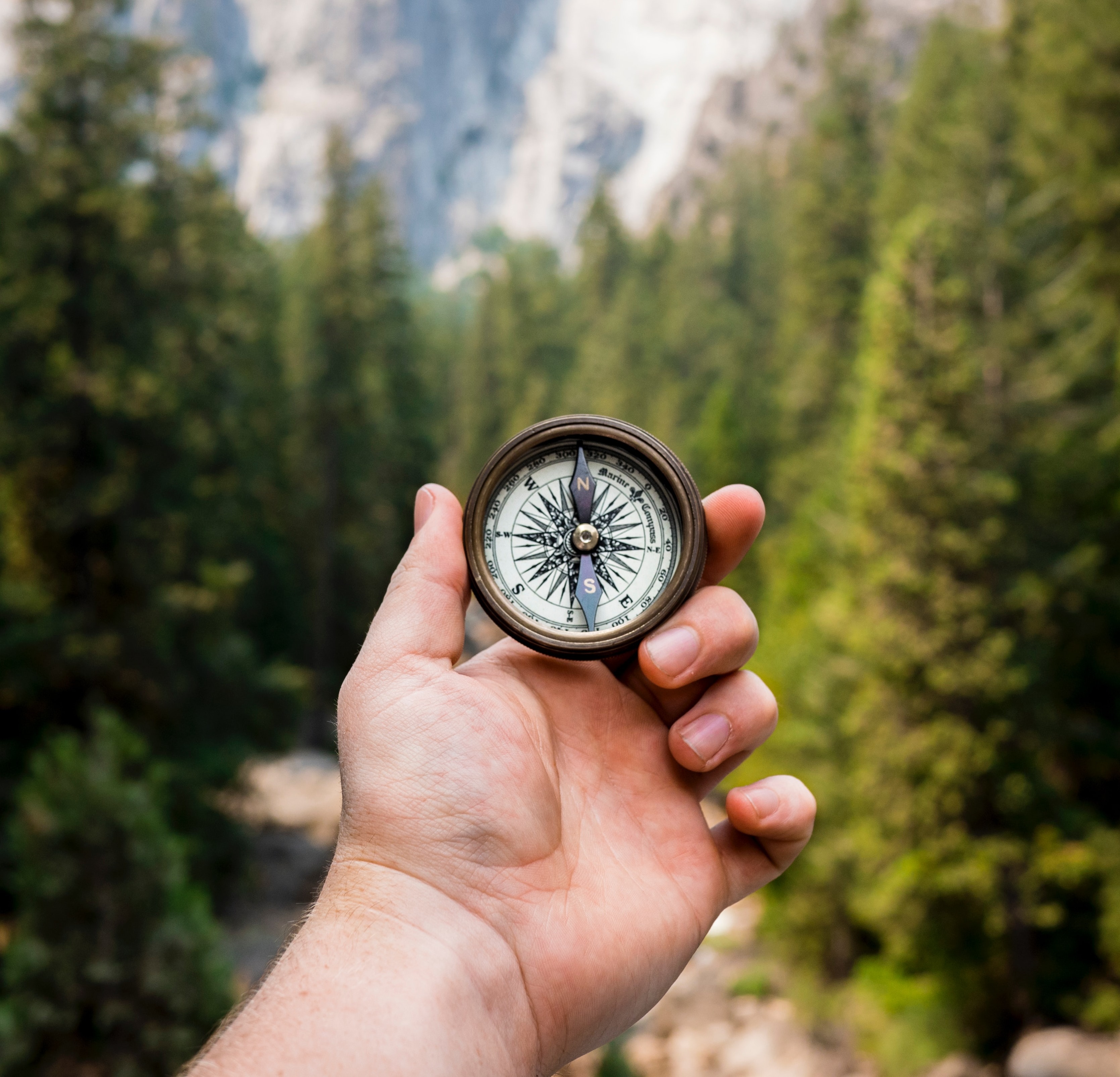 Hand holding a compass in nature